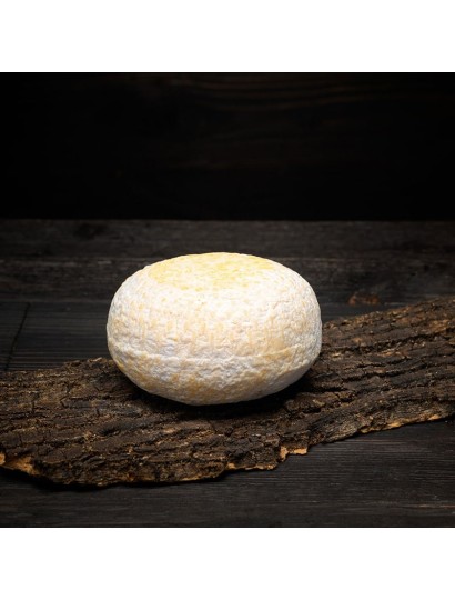 Gobbo alle Noci - Formaggio di pecora alle noci